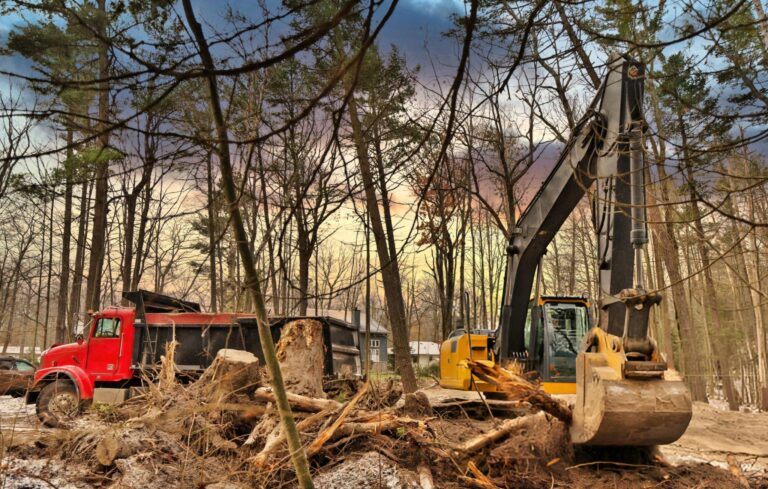 land clearing