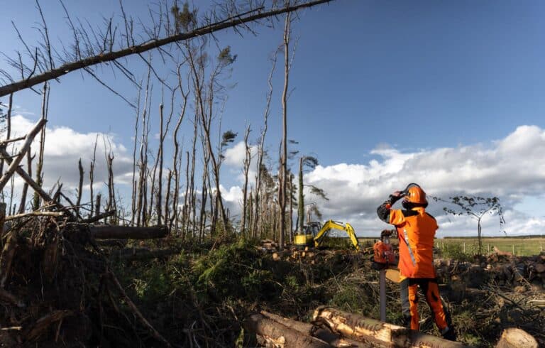 storm cleanup