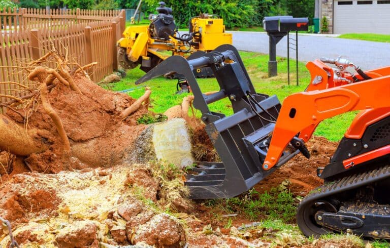 stump removal