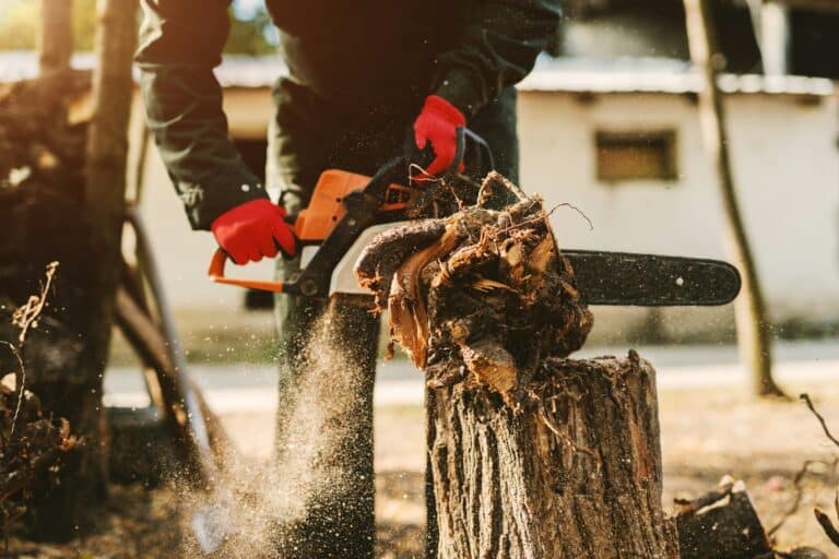 stump grinding